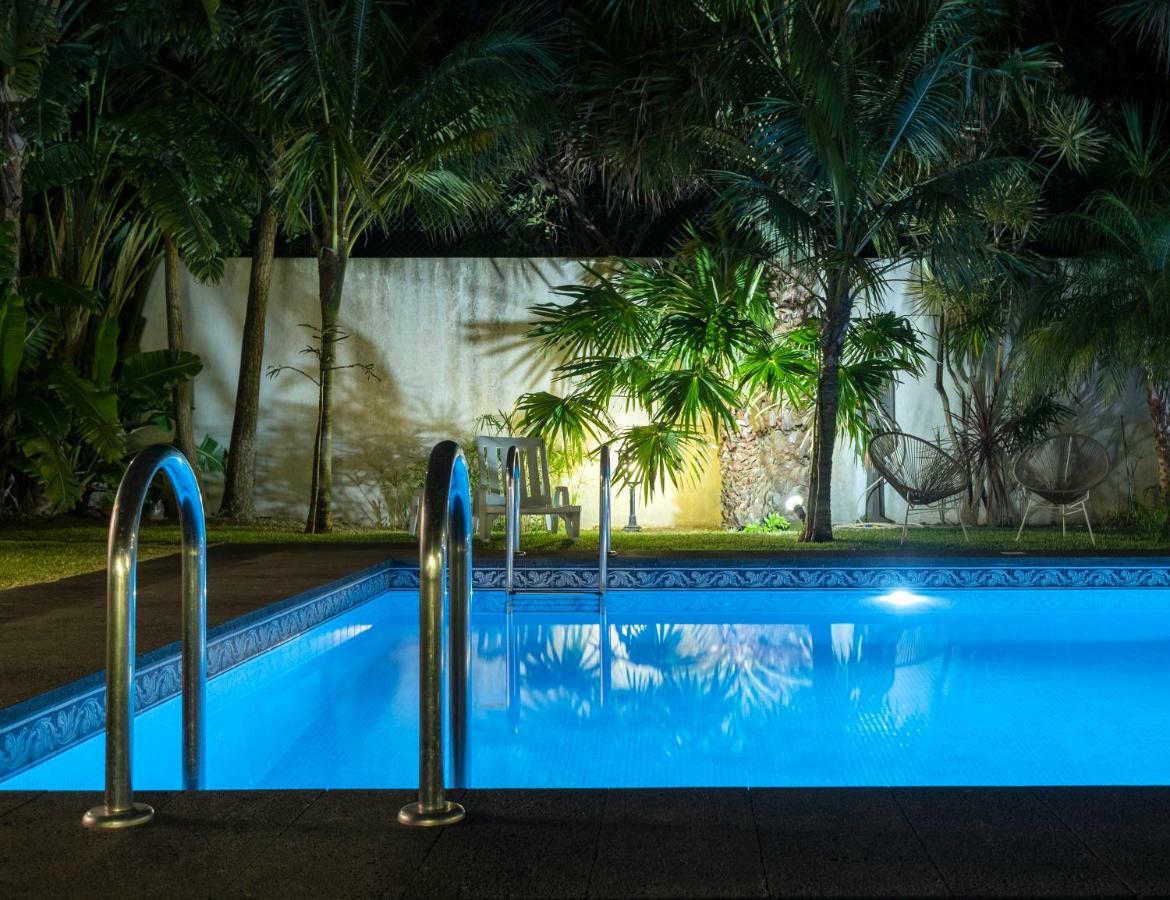 Casa Dos Agapantos Apartment Ponta Delgada  Ngoại thất bức ảnh